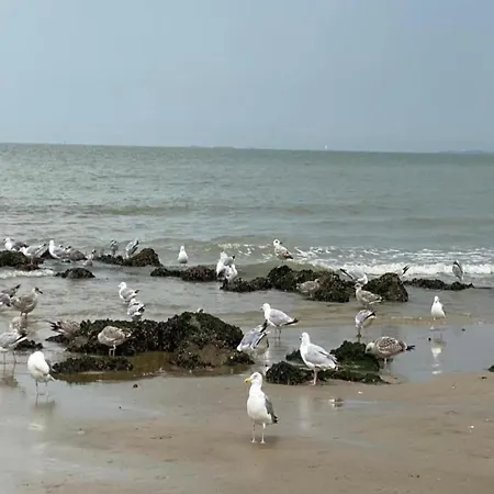 Renovated In Knokke-heist With Views