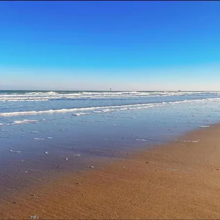 公寓 Renovated In Knokke-heist With Views *