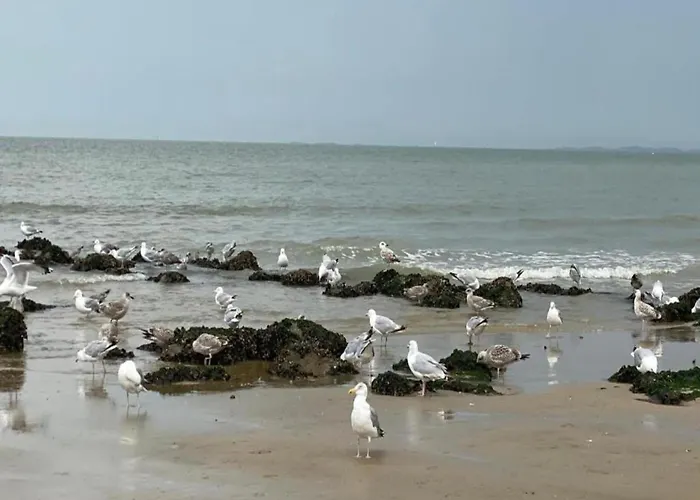 Renovated In Knokke-heist With Views