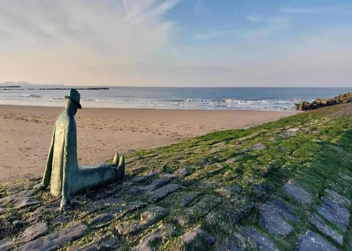 Renovated In Knokke-heist With Views Apartment Heulebrug