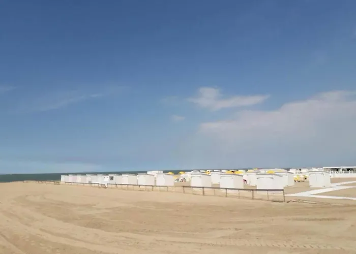 Διαμέρισμα Renovated In Knokke-heist With Views