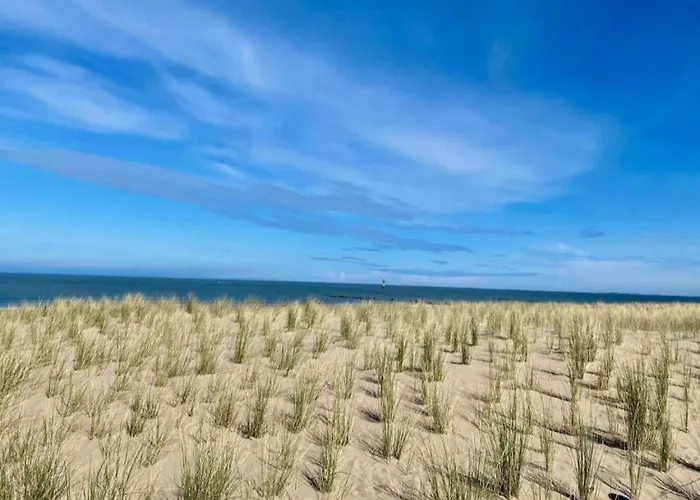 Renovated In Knokke-heist With Views Apartment