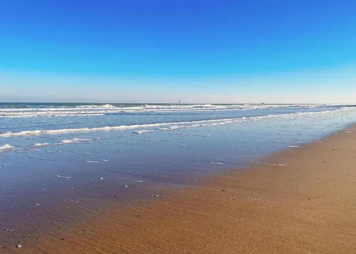 Διαμέρισμα Renovated In Knokke-heist With Views *